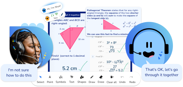 GCSE AI maths tutoring lesson with Skye