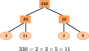 Factor Trees image 37 US