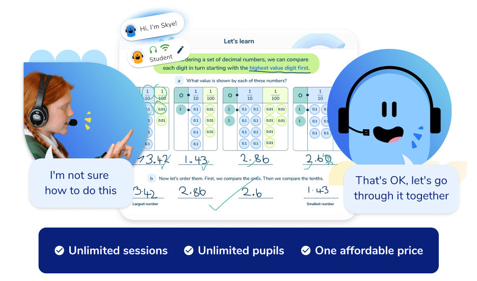 Primary Maths Tutoring Programmes
