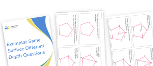 Exemplar Same Surface Different Depth Questions